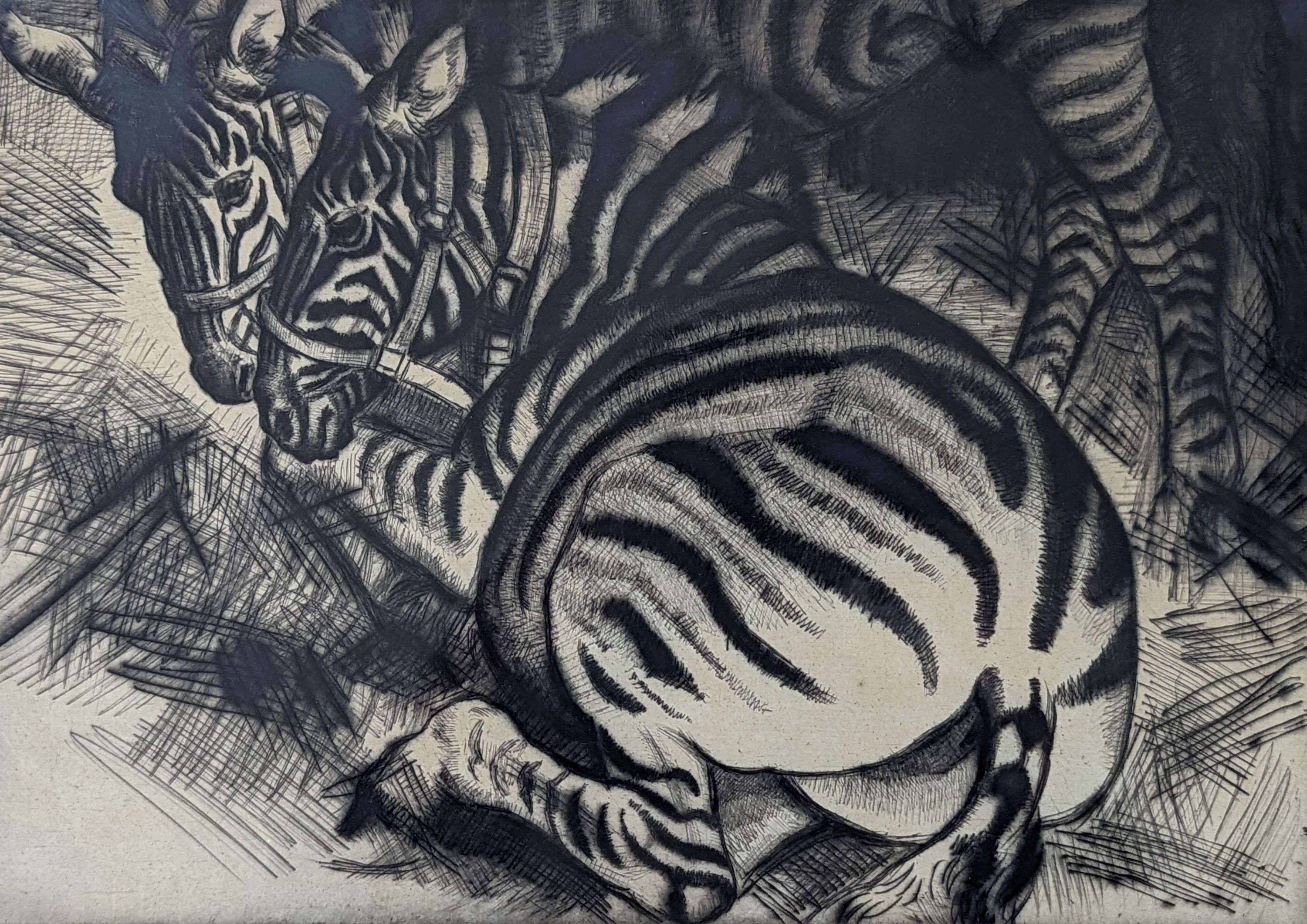 Dame Laura Knight (1877-1970), etching, Zebras, signed in pencil, Upper Grosvenor Galleries label verso, 25 x 35cm